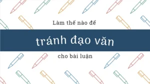 dao-van-2